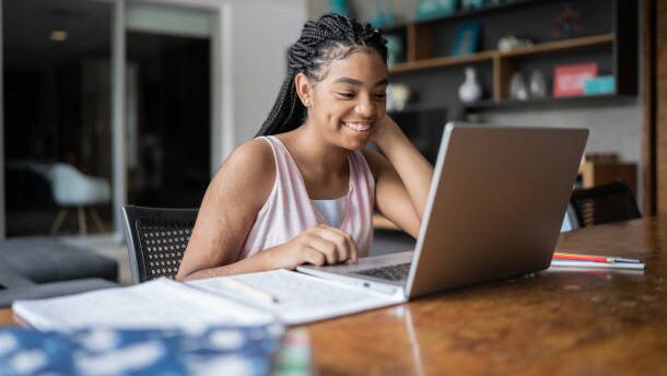 Desktop or Laptop Computer